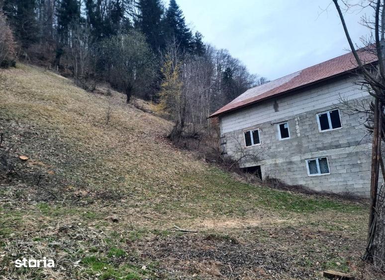 Casa 0 camere Alexandru cel bun (Jud. Neamt) , 290 metri Cod:161810 - 3