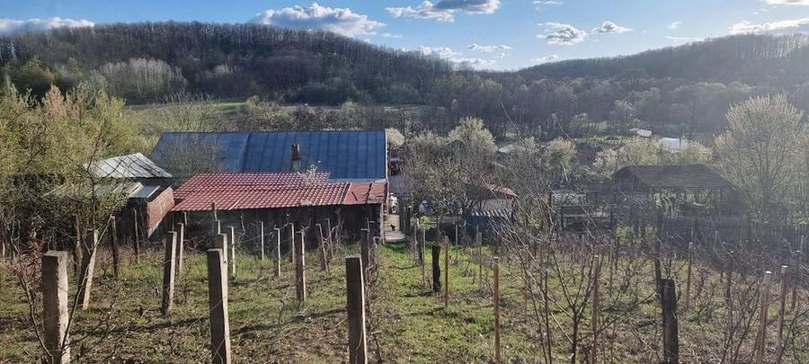 Casă cu 3 camere cu Teren 1558 Mp în Central