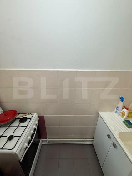 Apartament 1 Camera (Microapartament) Zona Centrala, 42 mp - 4