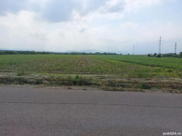 Teren de 3600 mp, în Central