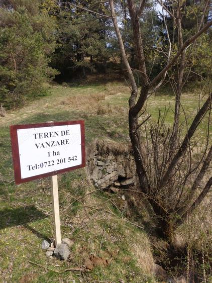 Teren în Brebu