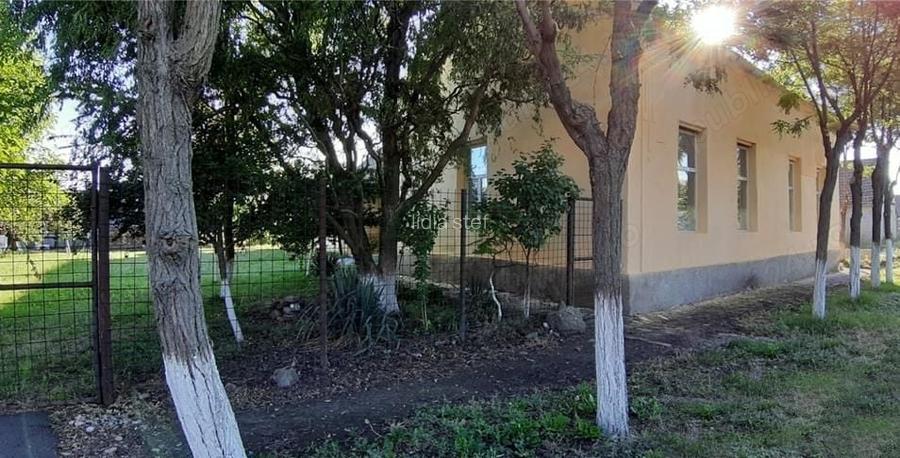 Vand casa mare in comuna Checea jud.timis 55000 euro