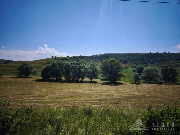 Teren Construcții intravilan de 4501 mp, în Chinteni