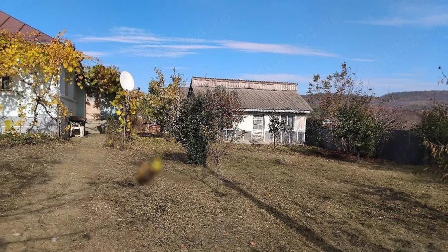 Casă cu 2 camere cu Teren 2650 Mp în Central