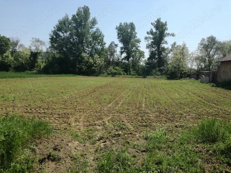 Teren de 5390 mp, în Vladimir