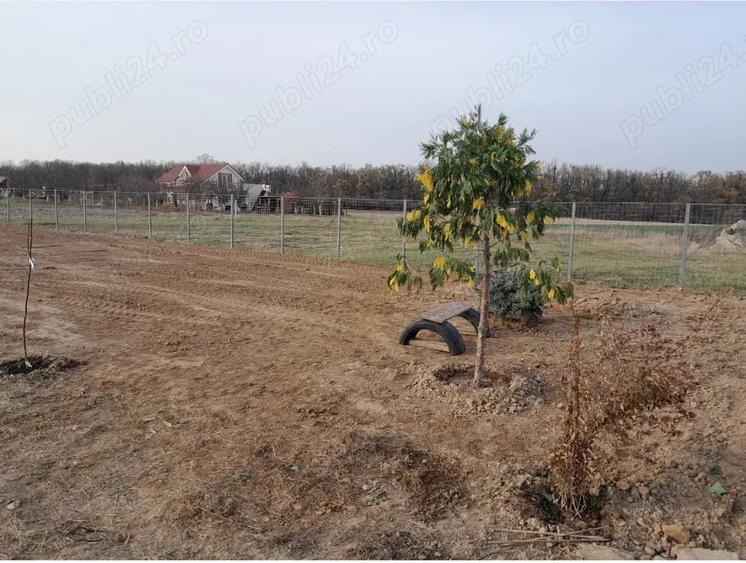 Teren de 821 mp, în Alparea
