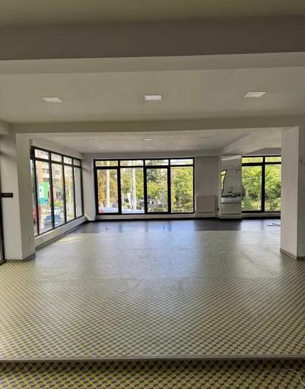 Spațiu comercial, de 450 mp, în Plopilor