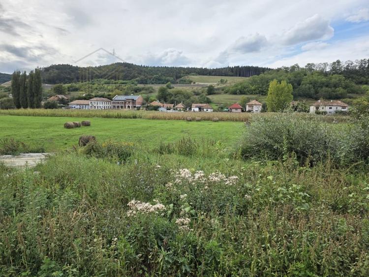 Teren Construcții intravilan de 1500 mp, în Sânpaul