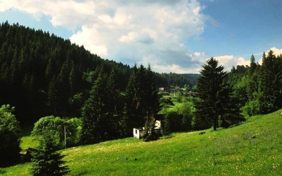 Teren Construcții intravilan de 34000 mp, în Vărșag