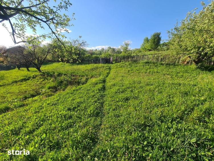 Teren de 950 mp, în Păușești