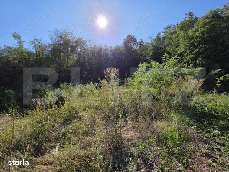Casă cu 3 camere cu Teren 1820 Mp în Centură