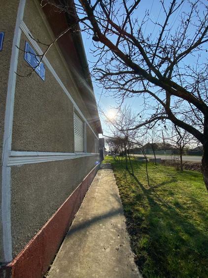 Casă cu 3 camere în Turnu