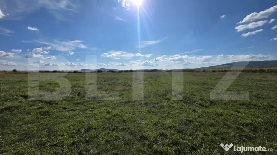 Teren extravilan de vanzare Comuna Cetate, zona lini? - Bistrita (Bistrita-Nasaud) - 3