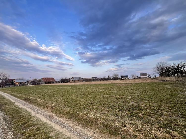 Teren agricol intravilan de 2526 mp, în Tișăuți