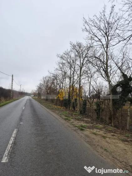 Teren intravilan de vanzare, 2.500 mp, Str Gorunului, zona A - 3