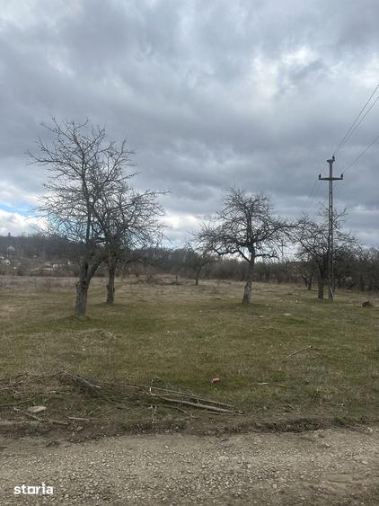 Teren de 4400 mp, în Voila