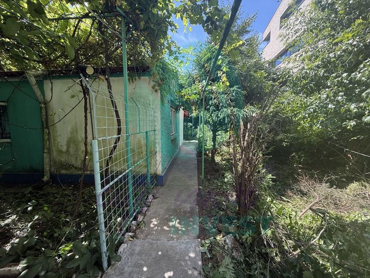 Casă individuală cu 2 camere cu Canalizare în Pache Protopopescu