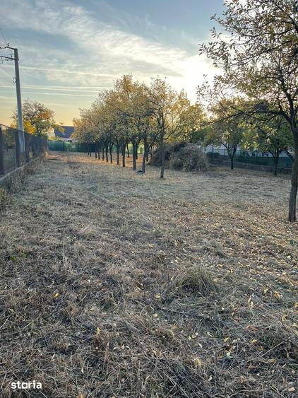 Teren de 1192 mp, în Cicârlău