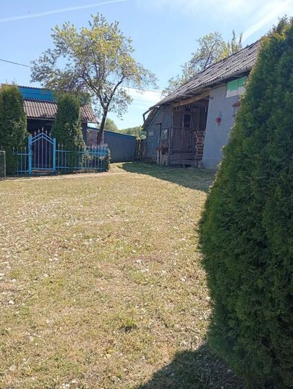 Casă cu 2 camere în Pălatca