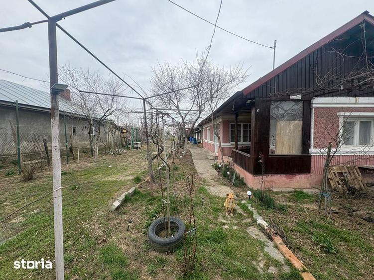 Teren 1300 mp + Casa din caramida | Merii Petchii, Ilfov - 3