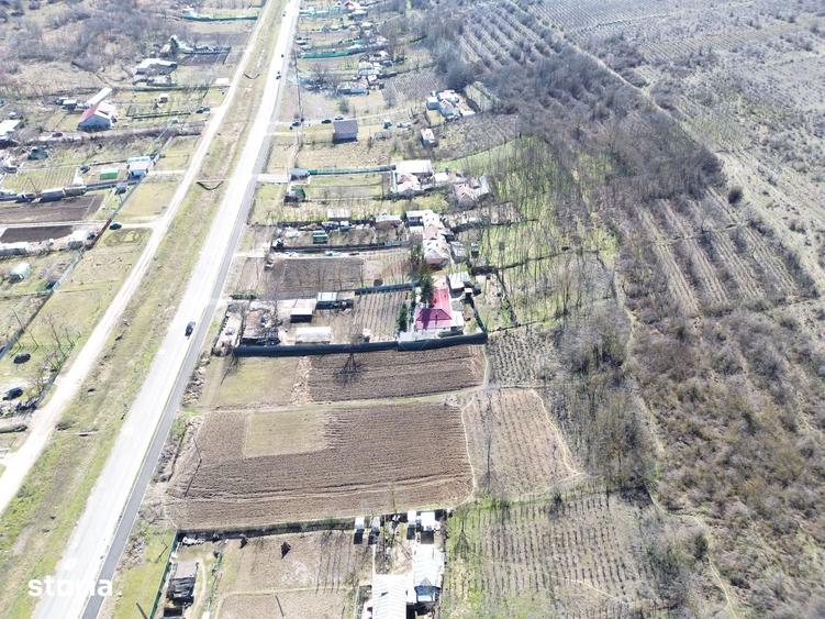 Teren Intravilan de vanzare 5.313 mp Odaia Manolache, Jud. Gala?i - 2
