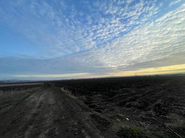 Teren agricol extravilan de 8200 mp, în Periferie