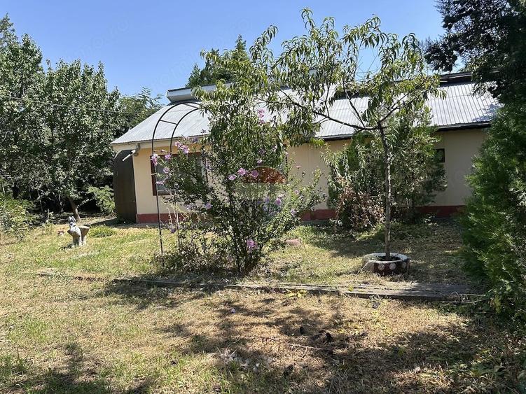 Casă cu 1 camere cu Teren 1129 Mp în Cunești