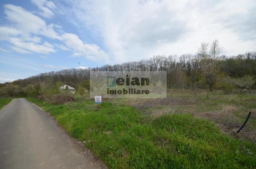 Teren Construcții intravilan de 3200 mp, în Snagov