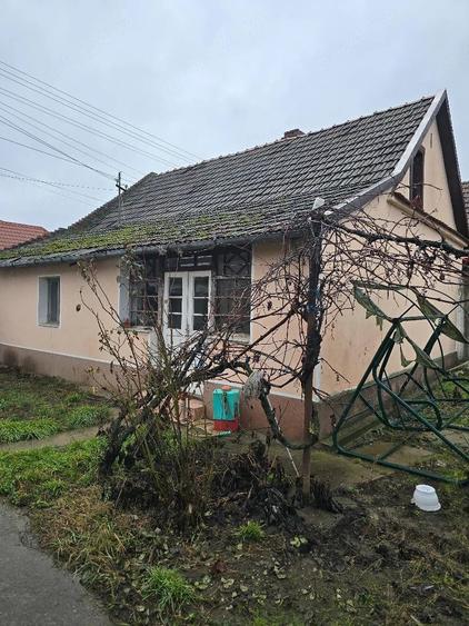 Casă cu 2 camere cu Teren 3040 Mp în Central