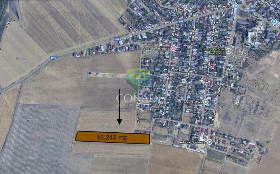 Teren Construcții intravilan de 16234 mp, în Cernica
