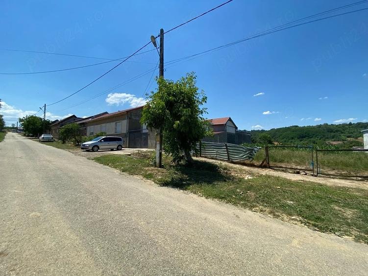 Teren de 3000 mp, în Mâtnicu Mare