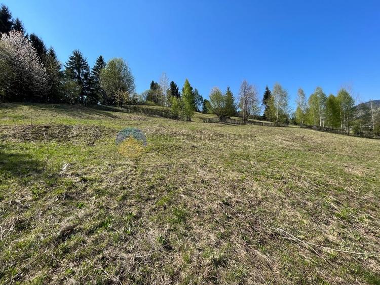 Teren intravilan de 6041 mp, în Ceahlău