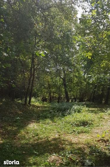 Teren de 636 mp, în Podul Lung