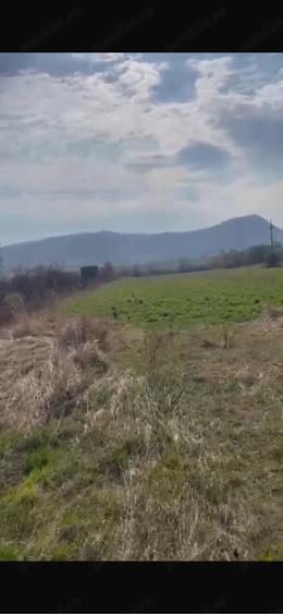 Teren de 2300 mp, în Viișoara