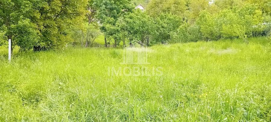 Teren Construcții intravilan de 994 mp, în Budiu Mic