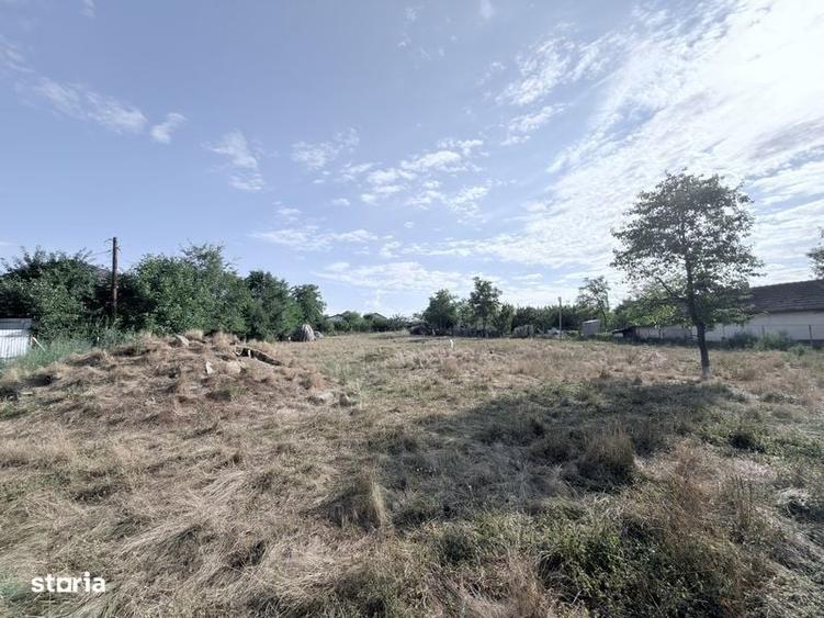 2300mp la Rachiti teren intravilan la strada - 1