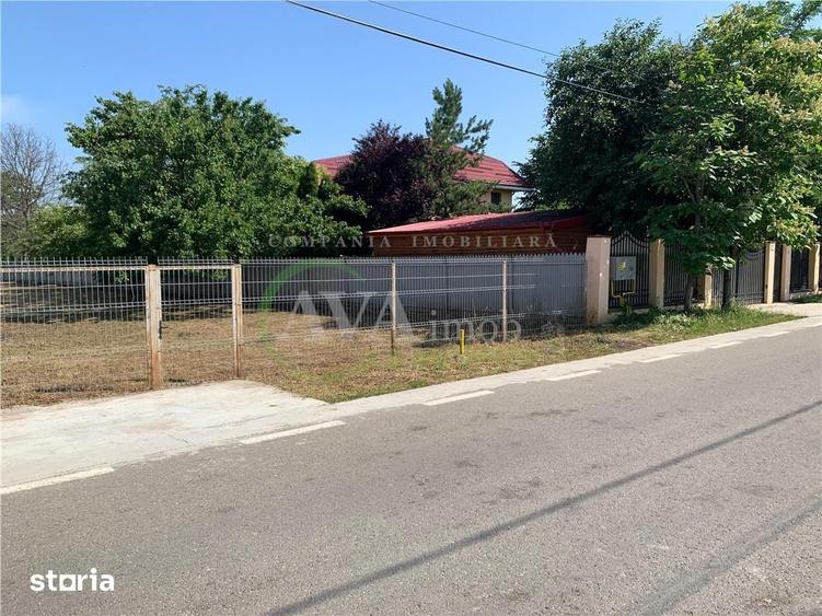 Teren de 1500 mp, în Șerbănești