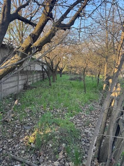 Teren Construcții intravilan de 700 mp, în Griviței