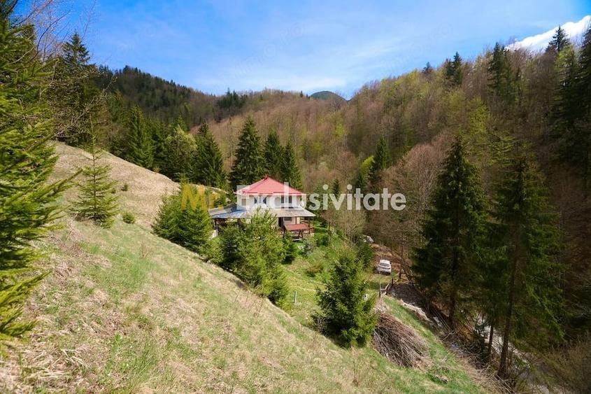 Casă cu 5 camere cu Teren 6412 Mp în Dâmbovicioara