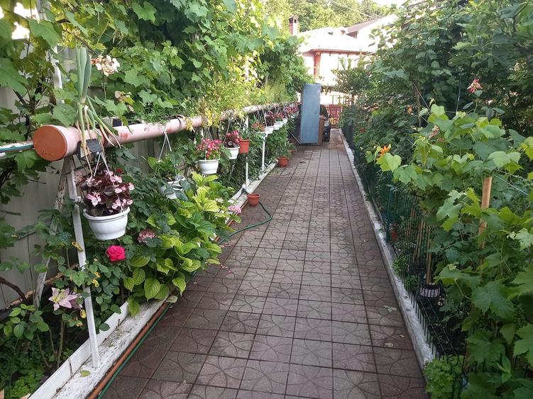 Casă cu 3 camere în Central