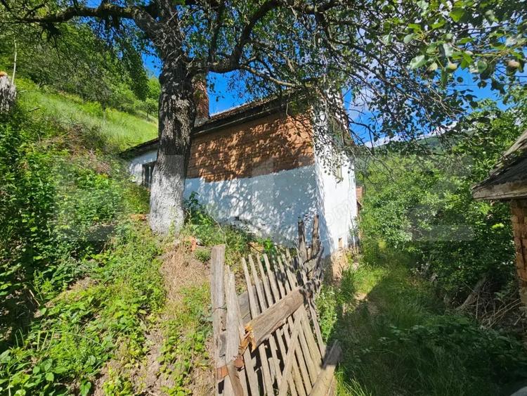 Casă cu Teren 1343 Mp în Căpâlna
