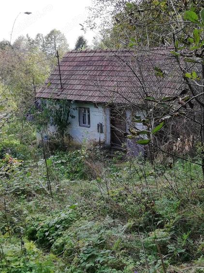 Teren de 11650 mp, în Valea Borcutului