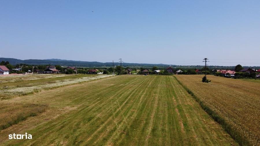 Teren de 5000 mp, în Cocorăștii Caplii