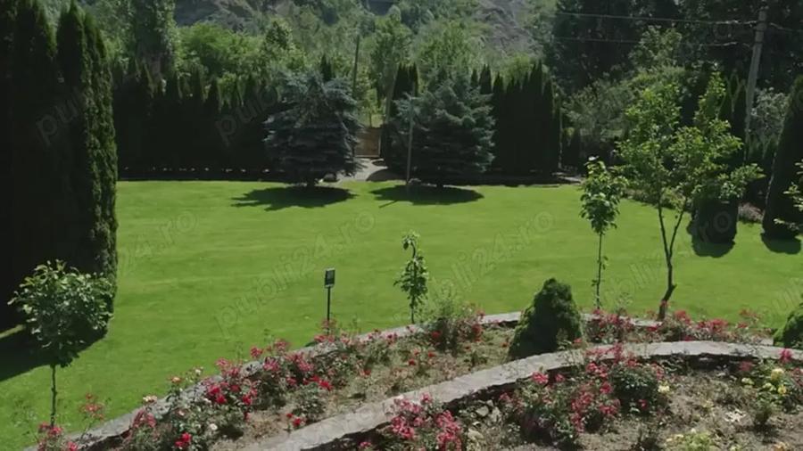 Casă cu 6 camere cu Teren 16500 Mp în Lunca Mare
