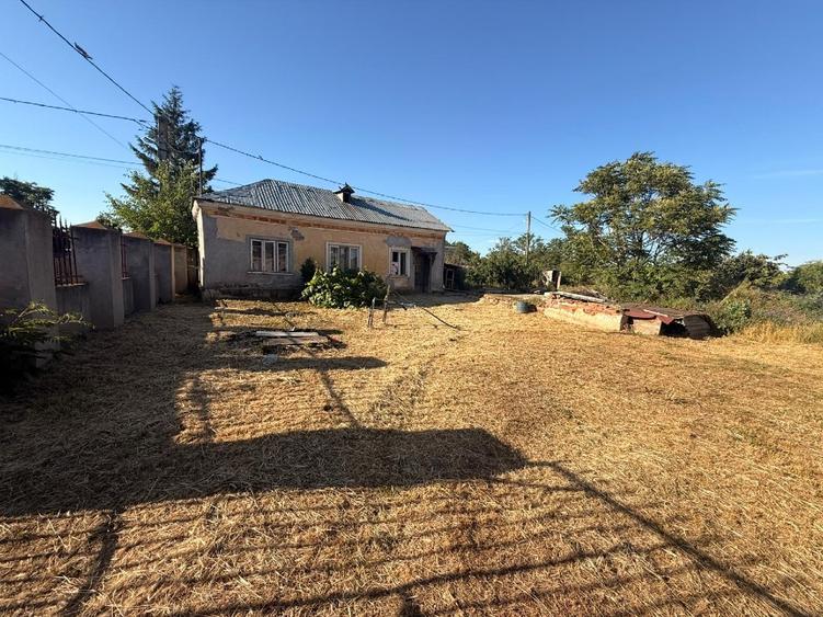 Casă individuală cu 3 camere cu Teren 5783 Mp în Segarcea-Vale
