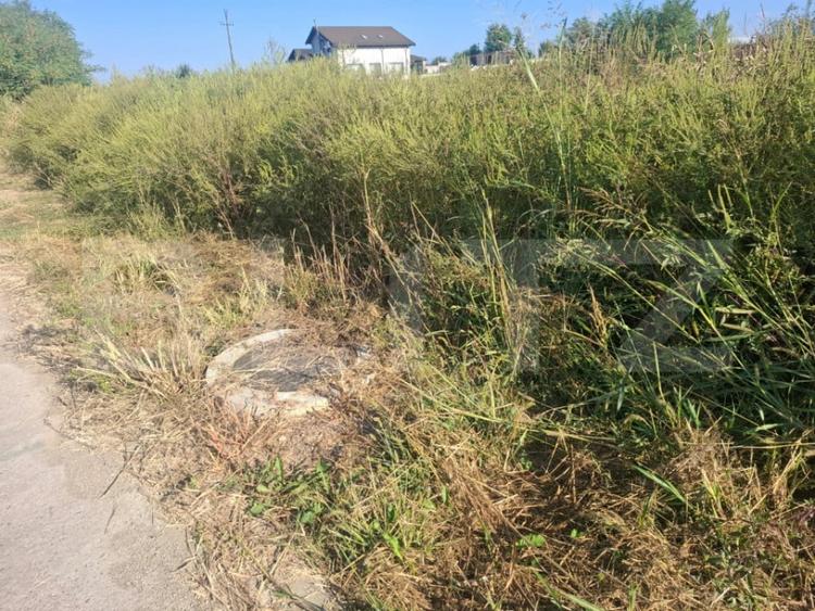 Teren intravilan 5.000 mp in Bungetu, langa lacuri de pes - 6