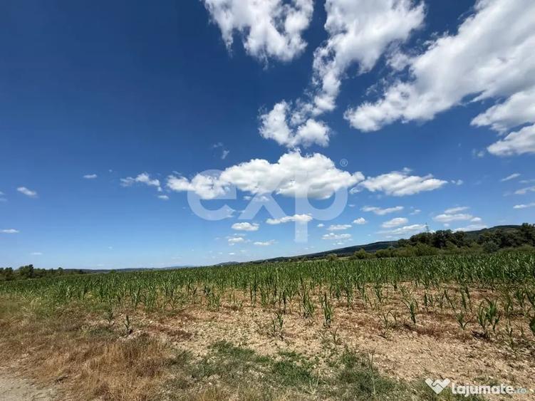 Teren 14.000 mp in Budeasa cu vedere superba catre baraj - 3