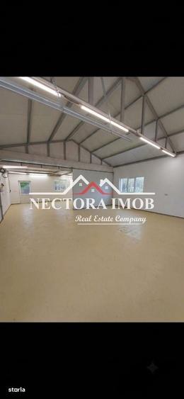 NECTORA IMOB-Casa DEOSEBITA cu HALA, Teren 3000 mp, Zona Crisul Repede - 3