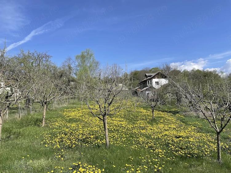 Teren de 3730 mp, în Vâlsănești