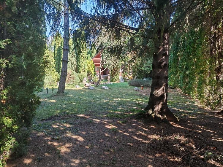 Casă individuală cu 4 camere cu Teren 1780 Mp în Piatra Arsă